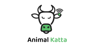 Animal Katta